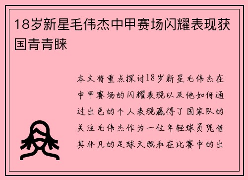 18岁新星毛伟杰中甲赛场闪耀表现获国青青睐